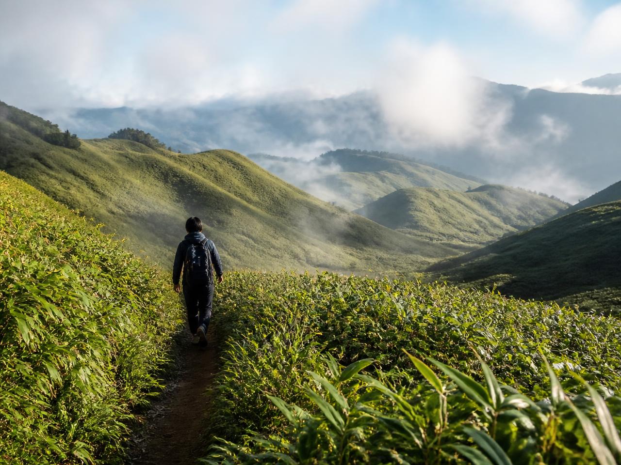 Traveller walking a trail through Dzukou Valley, Nagaland